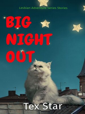 cover image of BIG NIGHT OUT